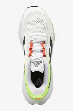 adidas Sport Performance Løbesko Questar 3 M