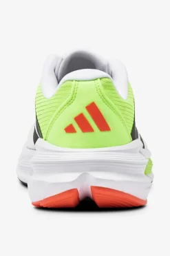 adidas Sport Performance Løbesko Questar 3 M