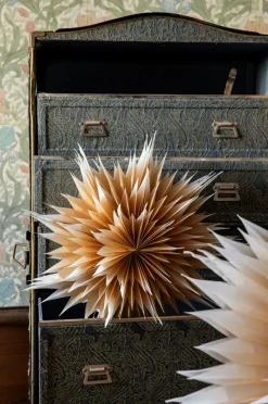 Alde & Lind Roxy D50