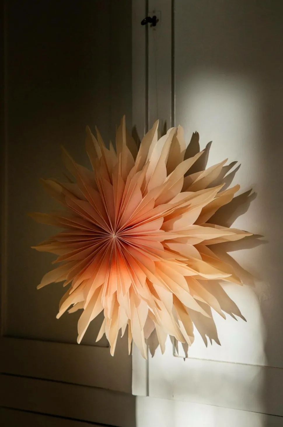 Alde & Lind Vanja D50