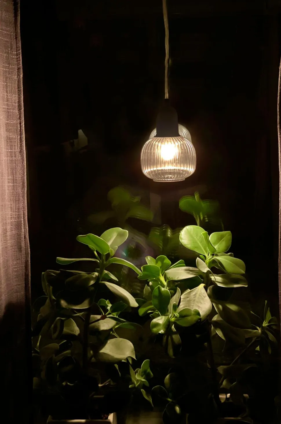 Aneta Lighting Pendel ELIN