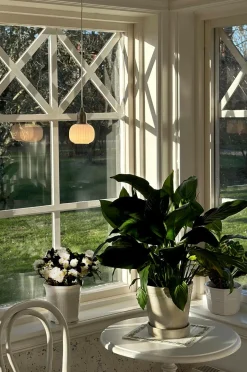 Aneta Lighting Pendel ELIN