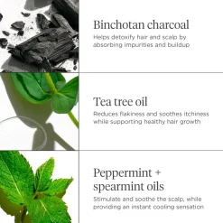 Briogeo Scalp REVIVAL™ Charcoal + Tea Tree Cooling Hydration Mask 177Ml