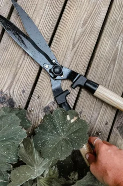 by Benson Hækkesaks Deluxe