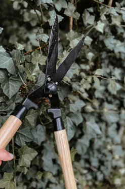 by Benson Hækkesaks Deluxe