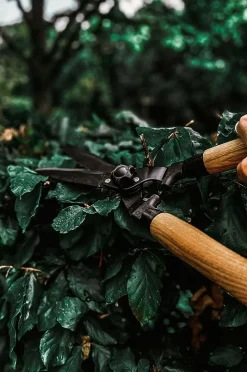 by Benson Hækkesaks Deluxe