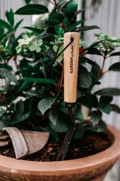 by Benson Plantespade