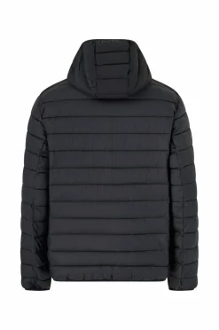 Champion Jakke Hooded