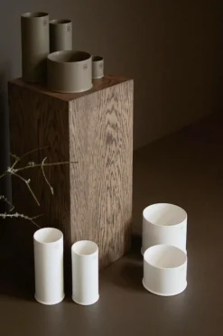 DBKD Krukke Astillbe Plant