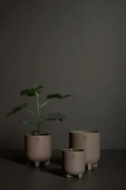 DBKD Krukke Plus mini