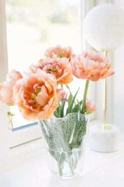 Dorre Tulipanvase Tulip