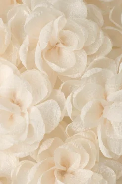 Ellos Home Loftslampe Dahlia Round 50