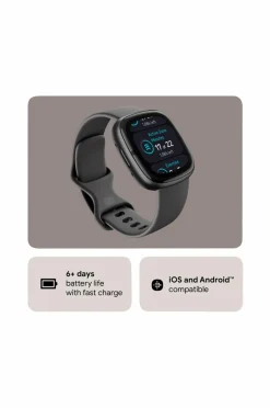 Fitbit Sense 2, Shadow Grey/Graphite