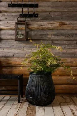 Halvor Bakke Høgevarde knagerække