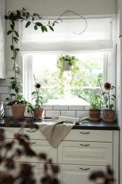 Hasta Lamelgardin Linnéa højde 160 cm