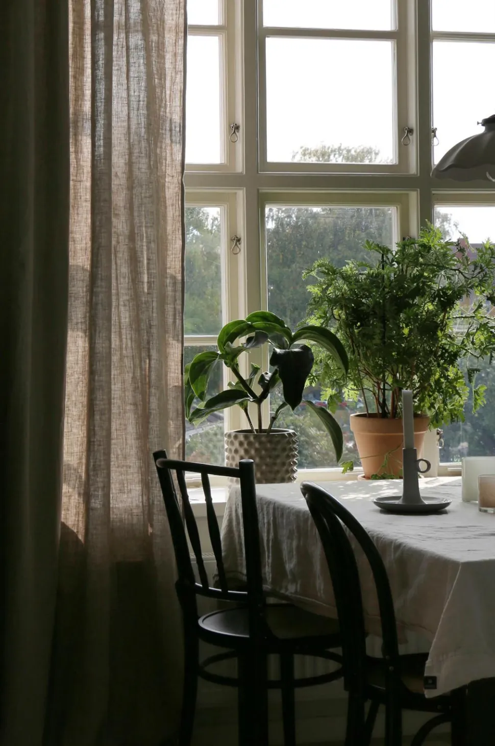 Himla Gardin Sunshine