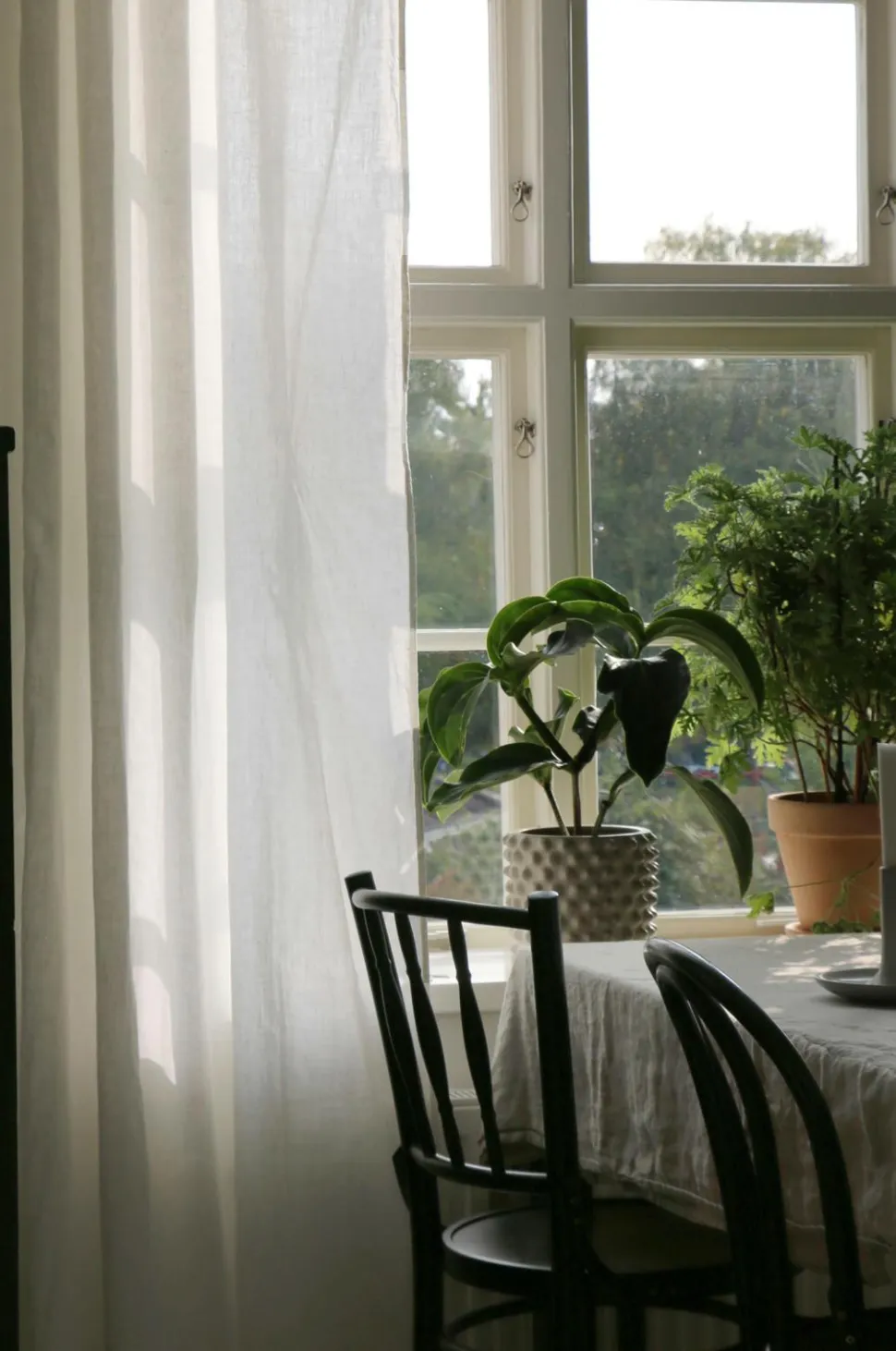 Himla Gardin Sunshine