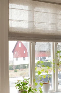 Himla Roman Blind Sunday