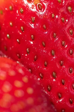 Hismile Toothpaste 60 g