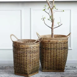 House Doctor Kurve, Pura