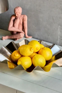 House Doctor Skål, Flood