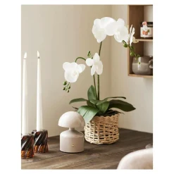 House Nordic Bordlampe, Aulla