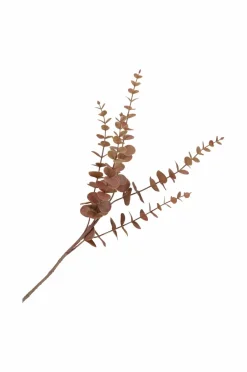 House Nordic Buket King Protea