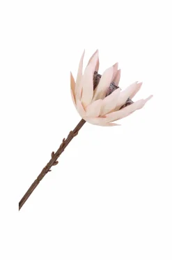 House Nordic Buket King Protea