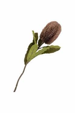 House Nordic Buket King Protea