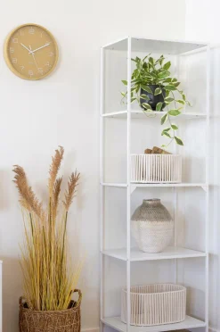 House Nordic Hoya Carnosa