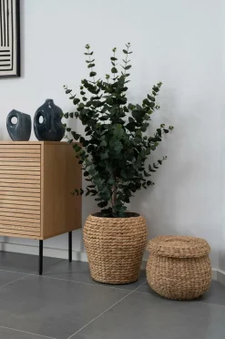 House Nordic Kurv Denia