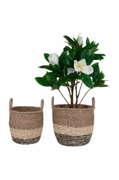 House Nordic Kurv Lima