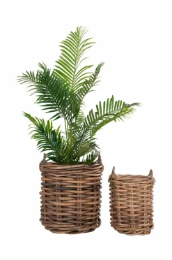 House Nordic Kurve Burton