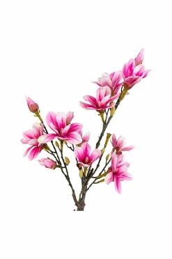 House Nordic Magnoliatræ