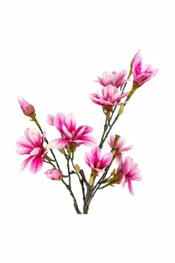 House Nordic Magnoliatræ