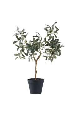 House Nordic Oliventræ