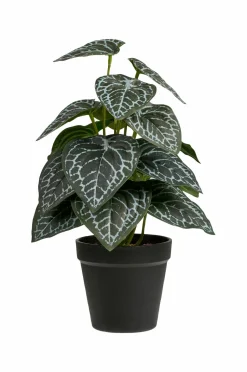 House Nordic Plante, Artificial