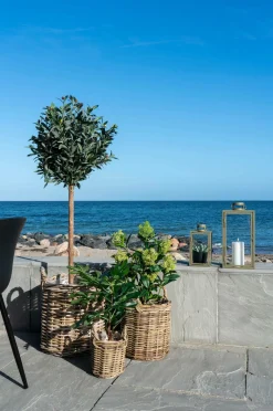 House Nordic Vinterbær