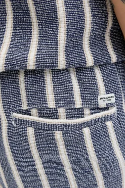 Jack & Jones Shorts jpstJaiden Coba Stripe Jog Short SR