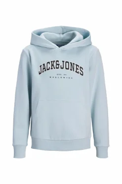 Jack & Jones Junior Hættetrøje jjeCaleb Varsity Sweat Hood Noos JN