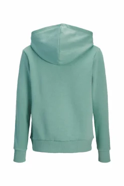 Jack & Jones Junior Hættetrøje jjeCaleb Varsity Sweat Hood Noos JN