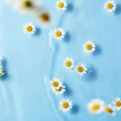 Klairs Midnight Blue Clearing Water Cream