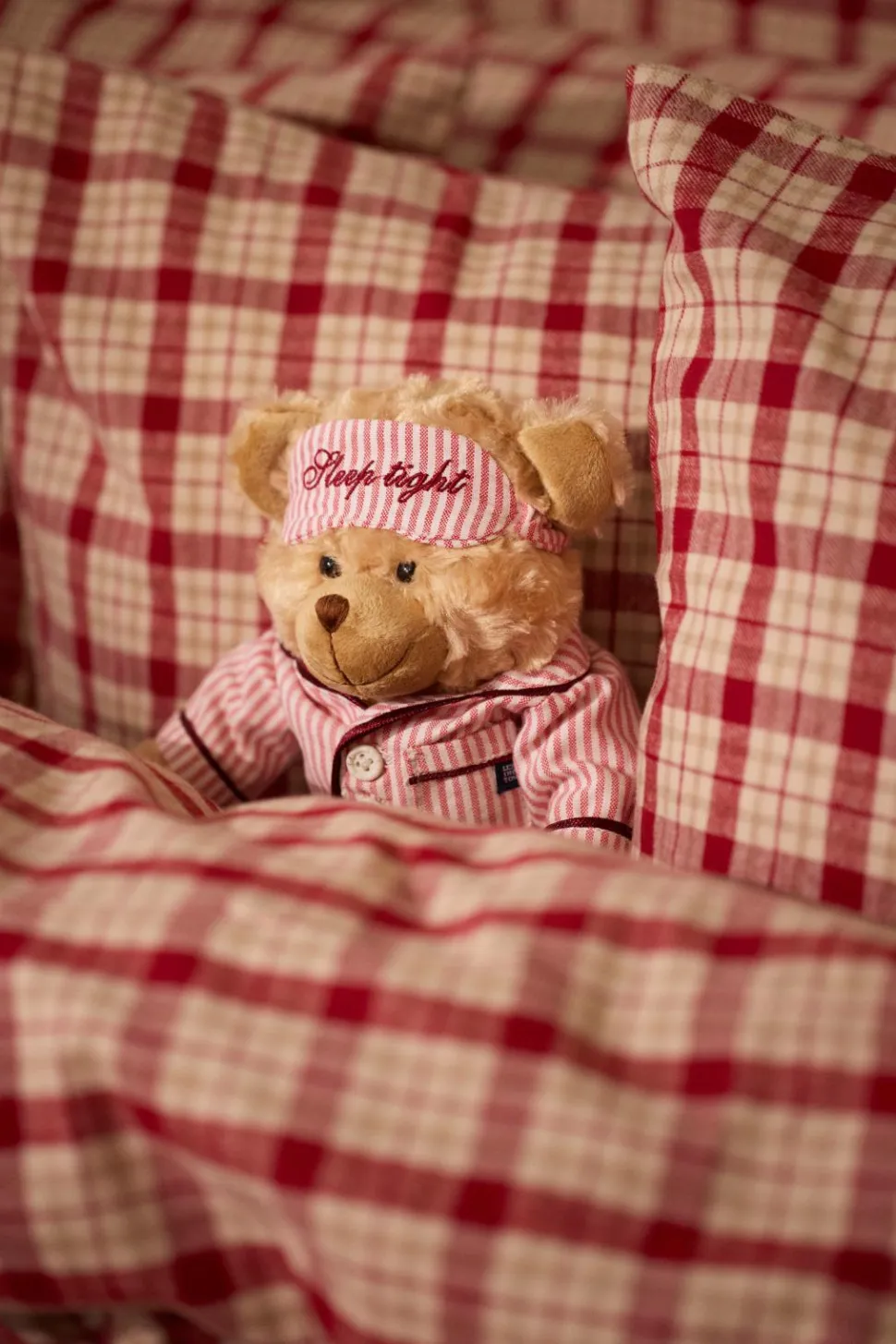 Lexington Teddy Holiday