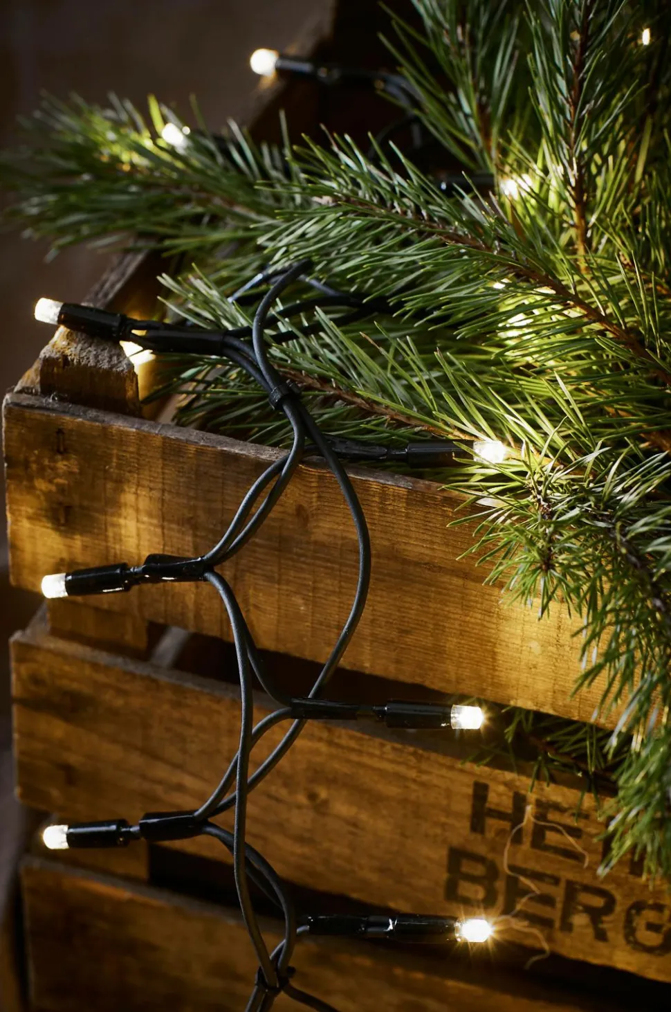 Markslöjd Lyskæde Crab CHRISSLINE 100L LED Orginal Extra