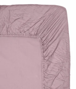 Midnatt Stræklagen Aster