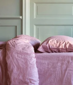 Midnatt Stræklagen Aster