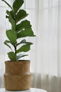 Mimou Kurv Bliss med foldet kant