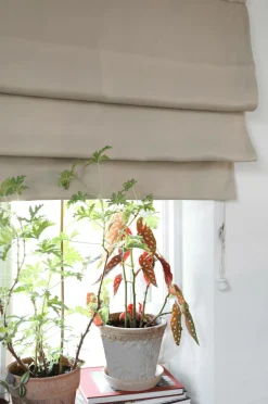 Mimou Liftgardin Hotel Dim Out 220 cm høj