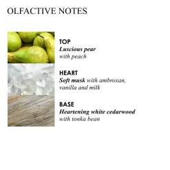 Molton Brown Milk Musk Bath & Shower Gel 290 Ml