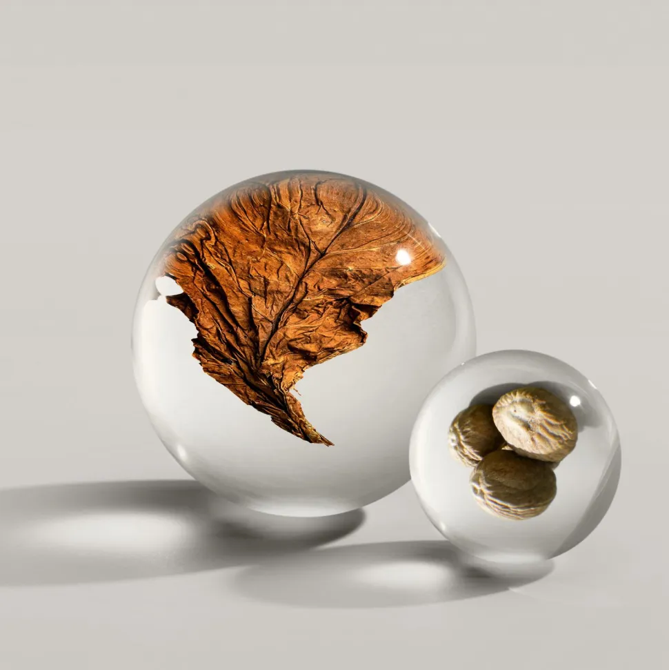 Molton Brown Tobacco Absolute Edp 100 Ml